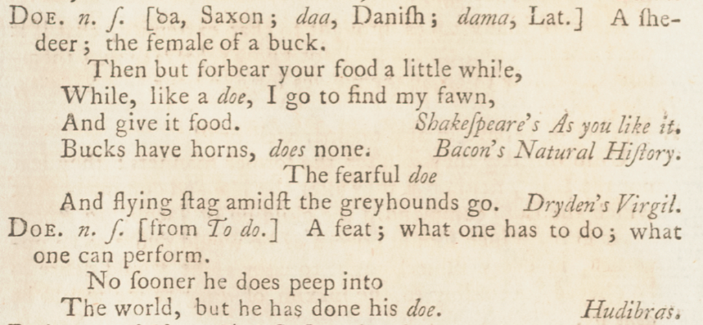 Homographs "Doe" and "Doe" shown as two separate entries.