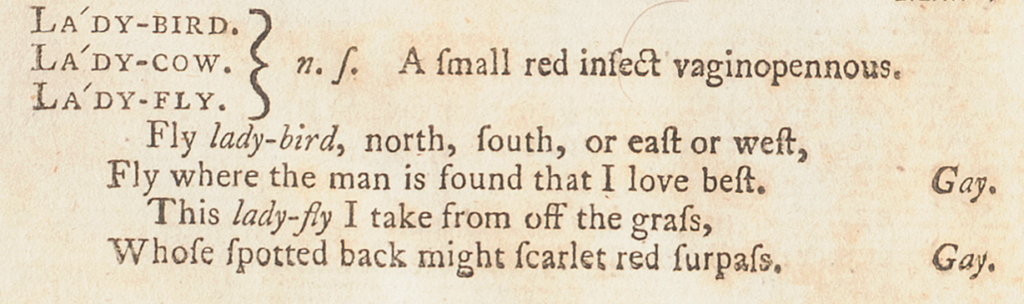 Headwords "Lady-Bird", "Lady-Cow", and "Lady-Fly" grouped together as a single dictionary entry.